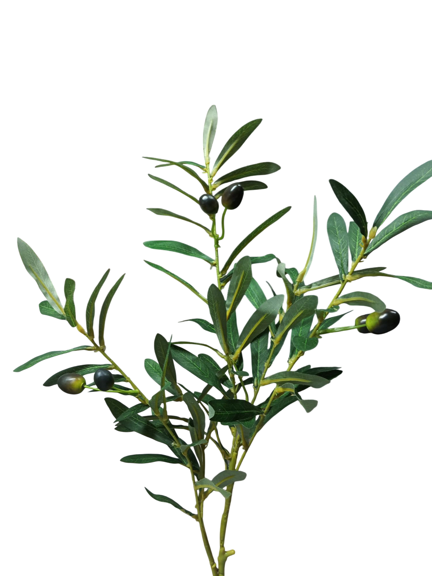 Vara olivo 90cm