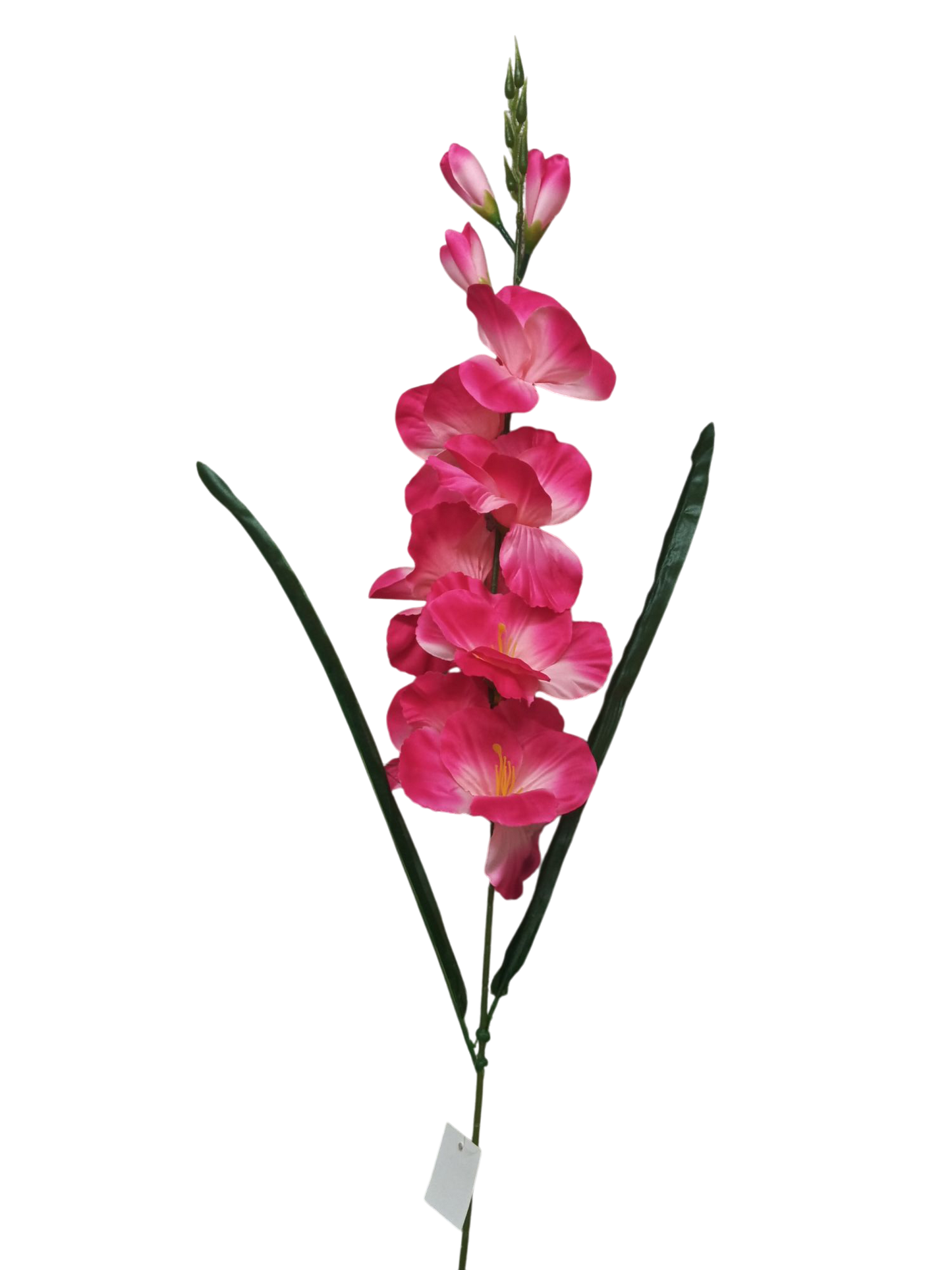 Gladiolo de 80cm