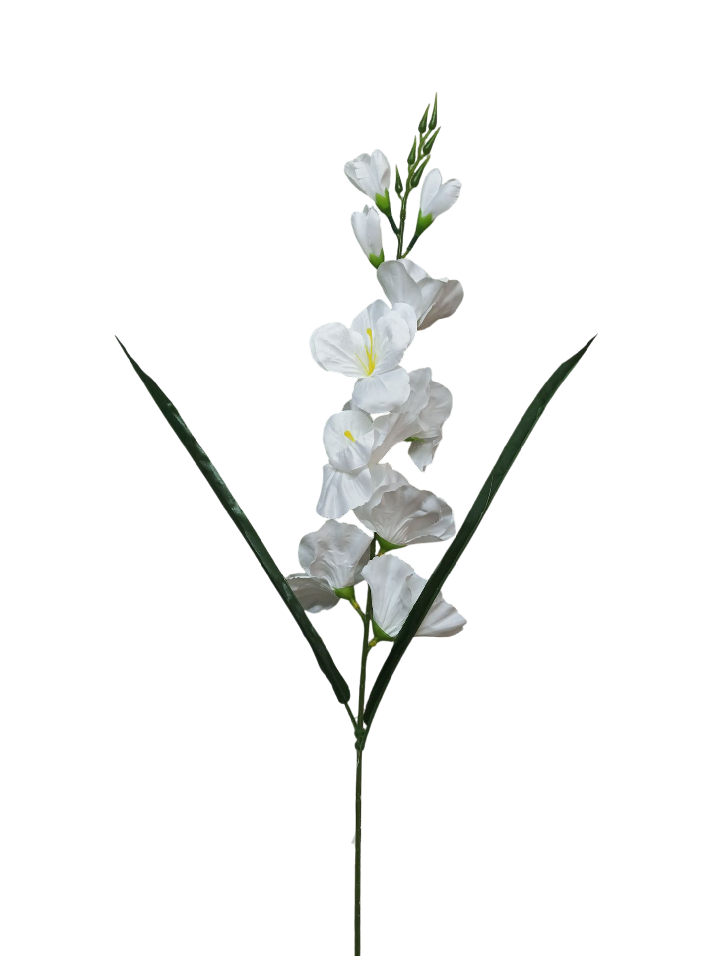 Gladiolo de 80cm
