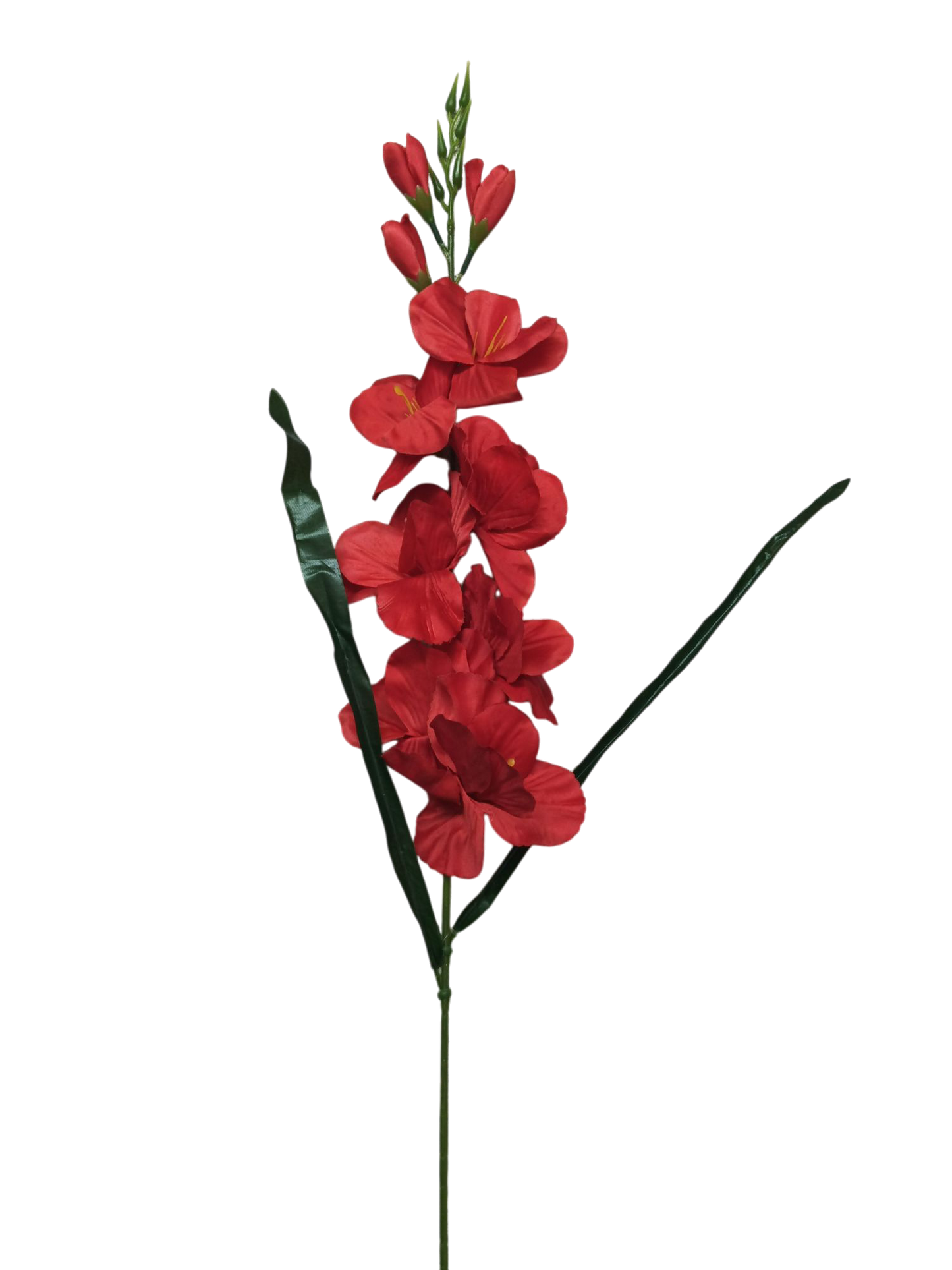 Gladiolo de 80cm