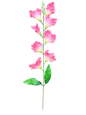 Flor Mariposa 70cm