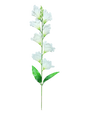 Flor Mariposa 70cm